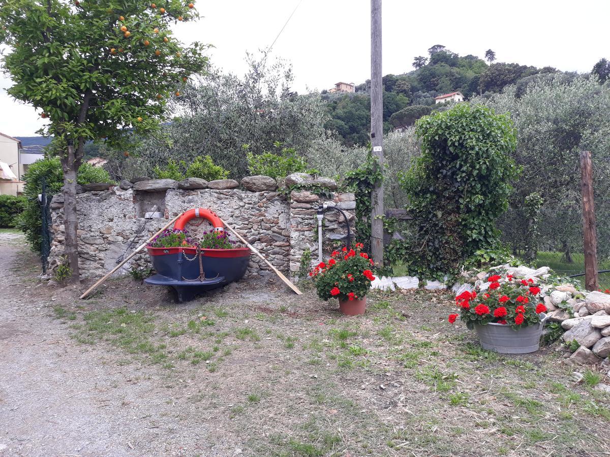 바도 리구레 La Terra Di Mingo B&B 외부 사진